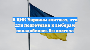 В ЦИК Украины считают, что для подготовки к выборам понадобилось бы полгода
