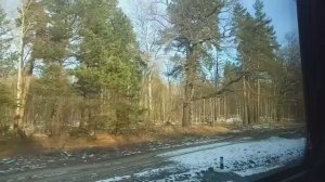 Поездная романтика в декабре 2025 года