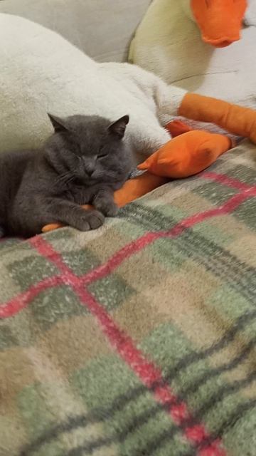 клип Дмка про. смотреть онлайн