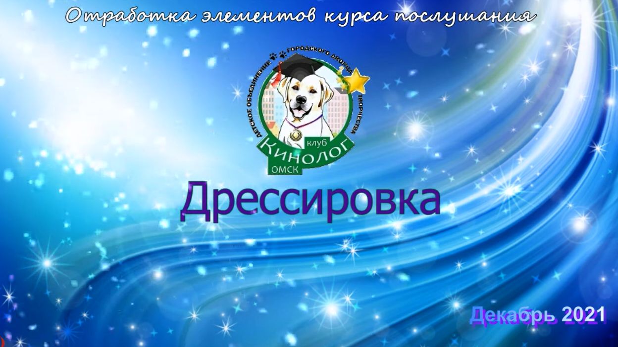 Дрессировка  19 12 21. Клуб  Кинолог