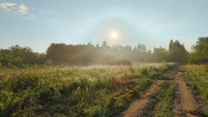 звуки природы