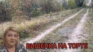 БРАКОВАННЫЕ ПОЛКИ. ЮЛЯ СТАР. ОБЗОР.