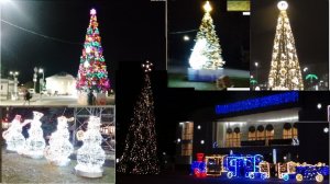 Главные Новогодние ёлки Тихвина 20 декабря 2025 г