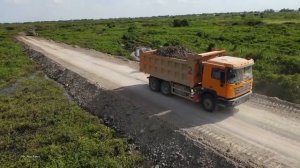 Потрясающий мощный бульдозер и грузовик прокладывают новую дорогу через лесное болото