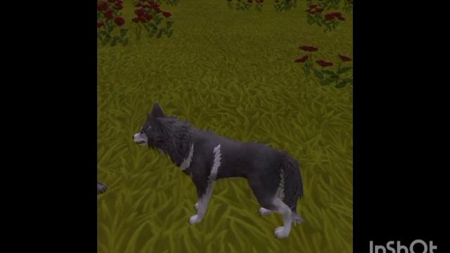 Мини фильм Wildcraft "Дух" 2 сезон 3 серия(финал) смотреть онлайн