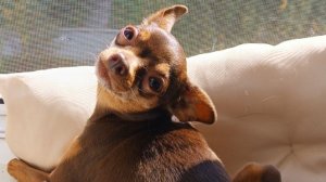 боксы для канала цветочек и Оля в шоколаде спасибо за боксы 😊🥺🌺🍫