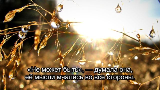 Четверо Мини-Я: Шокирующая Встреча Владимира (Часть 2) смотреть онлайн