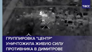 Группировка "Центр" уничтожила живую силу противника в Димитрове
