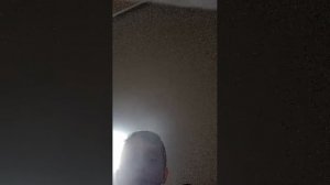 играем в ФИФУ 21