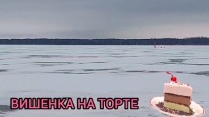 ПЛЕВАТЬ НА ВАС ХОТЕЛИ! ЮЛЯ СТАР. ОБЗОР.