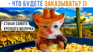 СТАКАН САМОГО КРЕПКОГО МОЛОЧКА ЭТОМУ ГОСПОДИНУ! ))) Приколы с котами | Мемозг 1699