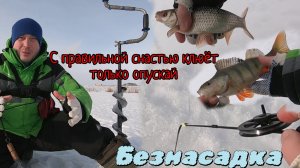 Безмотылка!Супер клёв на гвоздекубики,шарики....