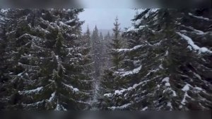 Deep Poeople Radio - Lila Narayana