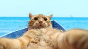 ✅ СМЕХ ДО СЛЁЗ 2025 😂💥