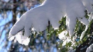 ✨ ОЧЕНЬ КРАСИВАЯ ЗИМНЯЯ УСПОКАИВАЮЩАЯ МУЗЫКА ДЛЯ СНА 🎵 РАССЛАБЛЯЮЩАЯ РЕЛАКС МУЗЫКА ДЛЯ ДУШИ