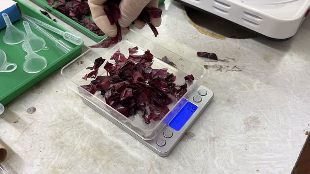 Февральская естественно-научная образовательная программа смотреть онлайн