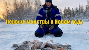 Первые полосатые монстры в Новом году. Зимняя рыбалка 2021.
