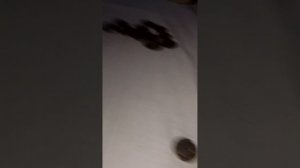 Мои монеты 🪙🪙🪙