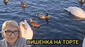 ШОК! НАЗВАЛ БАБКУ КОЛЛЕГОЙ! ОЛЬГА УРАЛОЧКА LIVE. ОБЗОР.