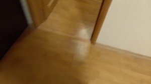 Новогоднее настроение [Сериал ХАГГИ ВАГГИ И ЕГО ДРУЗЬЯ] 117 серия