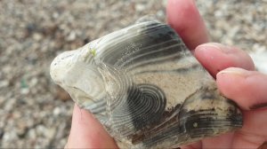 Агаты и халцедоны Камского Устья