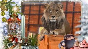 Доброе утро!