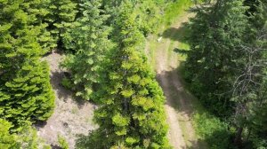 Как мы начали строить дом в лесу в Америке. С чего всё н