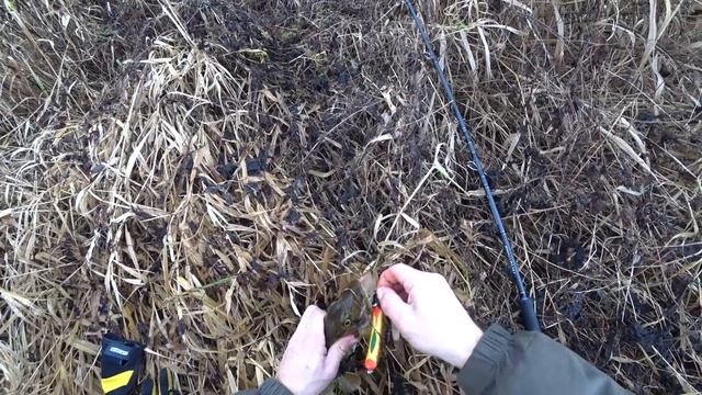 Рыбалка на Волге и Малых реках Тверской области. Живу на Земле