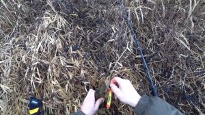 Рыбалка на Волге и Малых реках Тверской области. Живу на Земле