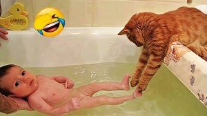 Приколы с животными🤗 Смешные видео про животных 🤗СМЕШНОЕ ВИДЕО😍 Наши любимые смешные животные