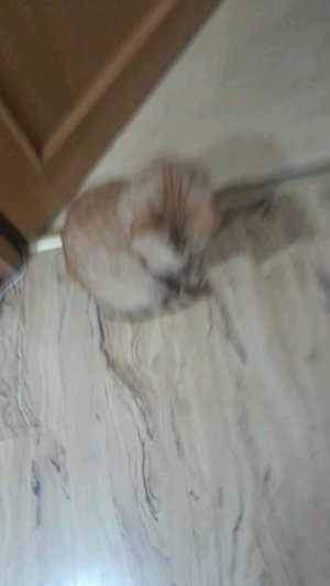 макияж на пленке