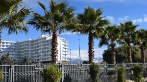 фильм "Сочи в декабре" 2025 г.