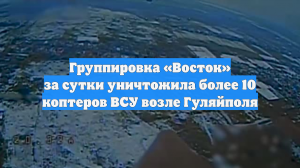 Группировка «Восток» за сутки уничтожила более 10 коптеров ВСУ возле Гуляйполя