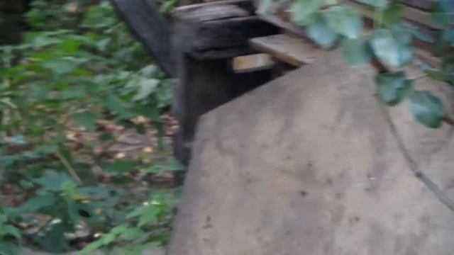 Прогулка по огороду.