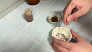 Февральская естественно-научная образовательная программа