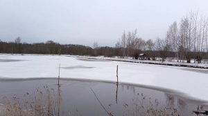 обзор 1-го Га водоёма РК "Фишка" Петряиха