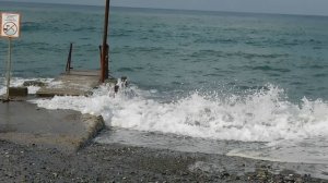 ВИДЕО  ПВН  ББ   (1769)