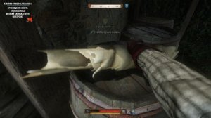 Прохождение квеста «Профилактика» в Kingdom Come Deliverance 2