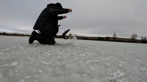 Теперь и с рыбой, открытие зимней рыбалки 2025-2026