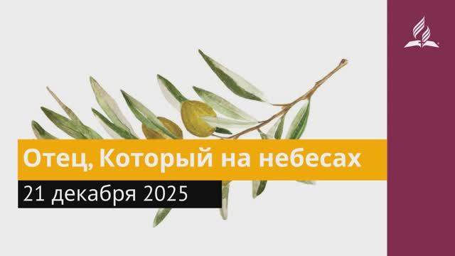 21 декабря 2025. Отец, Который на небесах. Под сенью благодати. смотреть онлайн