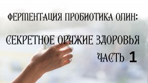 Живые помощники: раскрываем потенциал ферментированного пробиотика