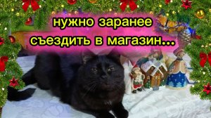 Новогодний юмор. Кошки с озвучкой.