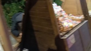 Предновогодняя Анапа. Арт Авеню. много красоты