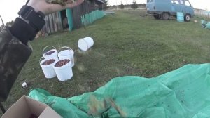 Способ очистки клюквы от мха с помощью вентилятора со скоростью ведро за минуту)