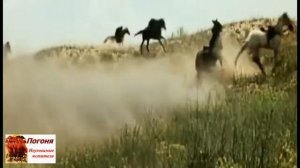 Неуловимые мстители -металлическая погоня