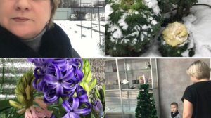 Готовимся к новому году. Дети привезли внуков.