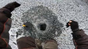 Первый лед 2025-26! Жерлицы срабатывают одна за другой!