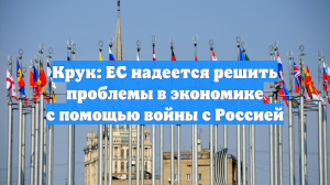 Крук: ЕС надеется решить проблемы в экономике с помощью войны с Россией