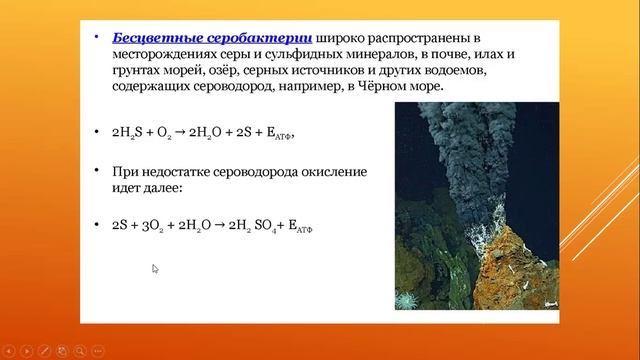 хемосинтез 2 сравнение фотосинтеза и дыхания