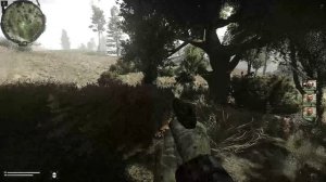 S.T.A.L.K.E.R. Anomaly RADIATION # 1